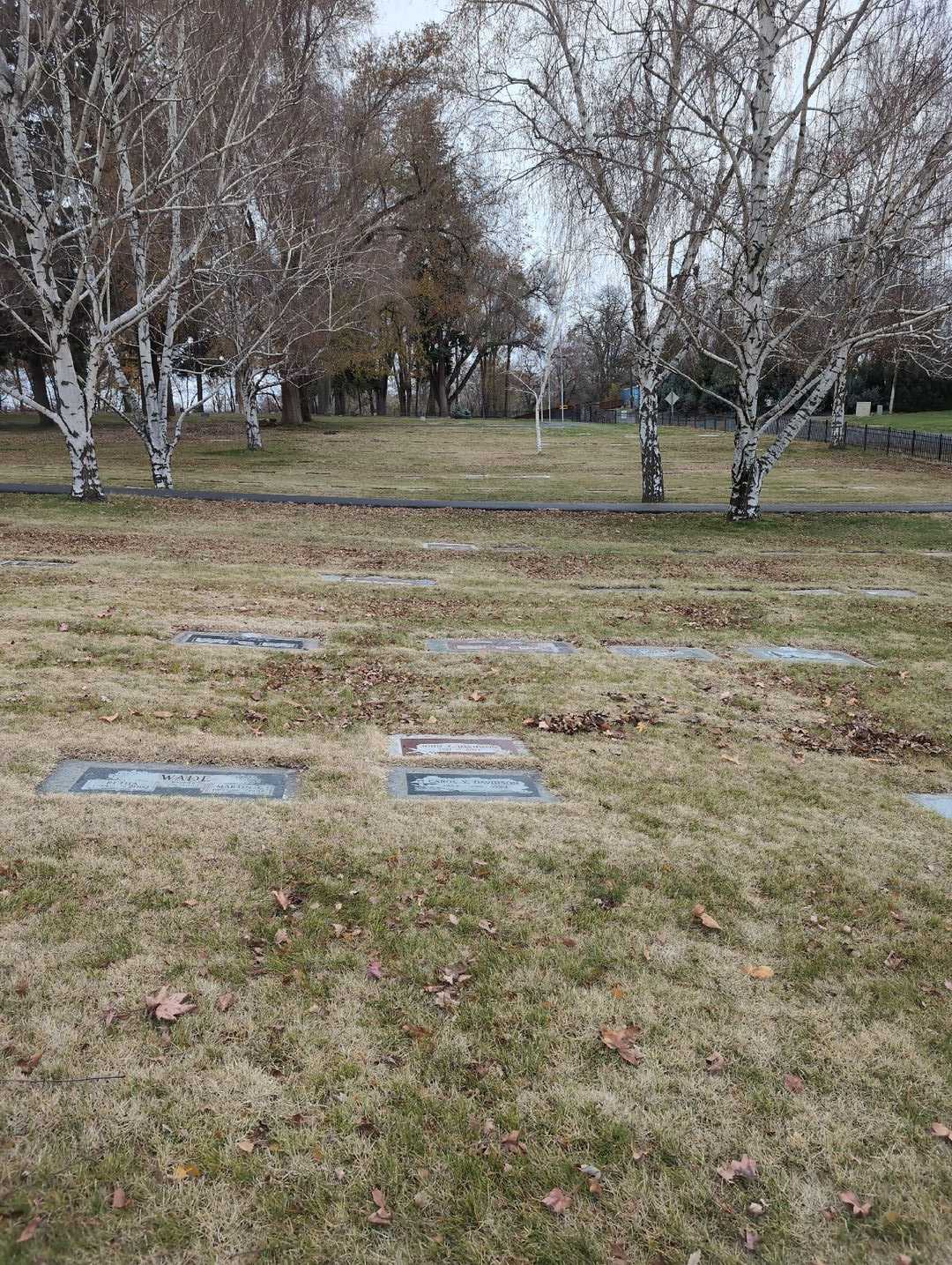 John E. Davidson's grave. Photo 3