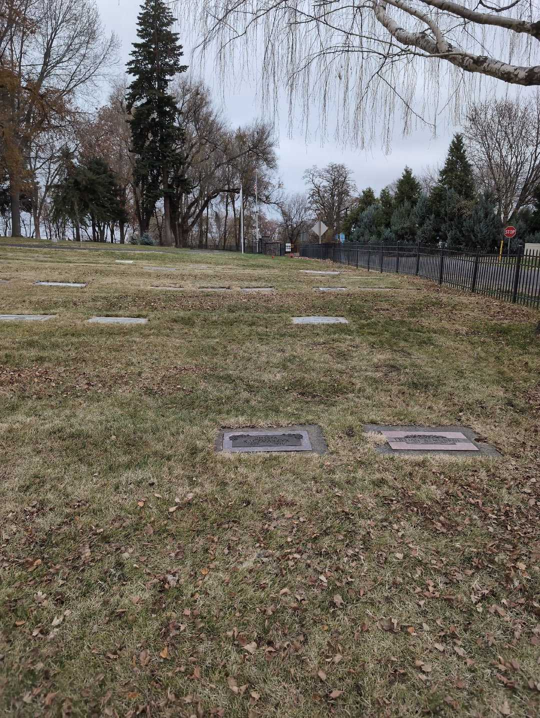 Josefa Kaczmarzyk's grave. Photo 2