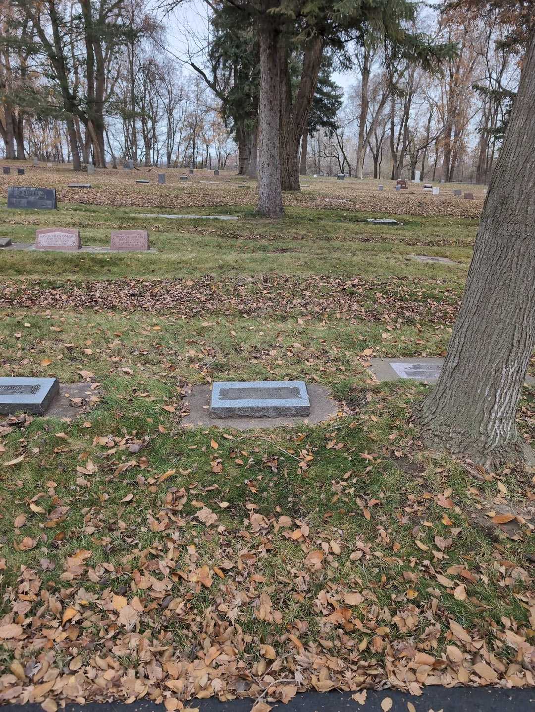 Eva Maye Helmer's grave. Photo 2