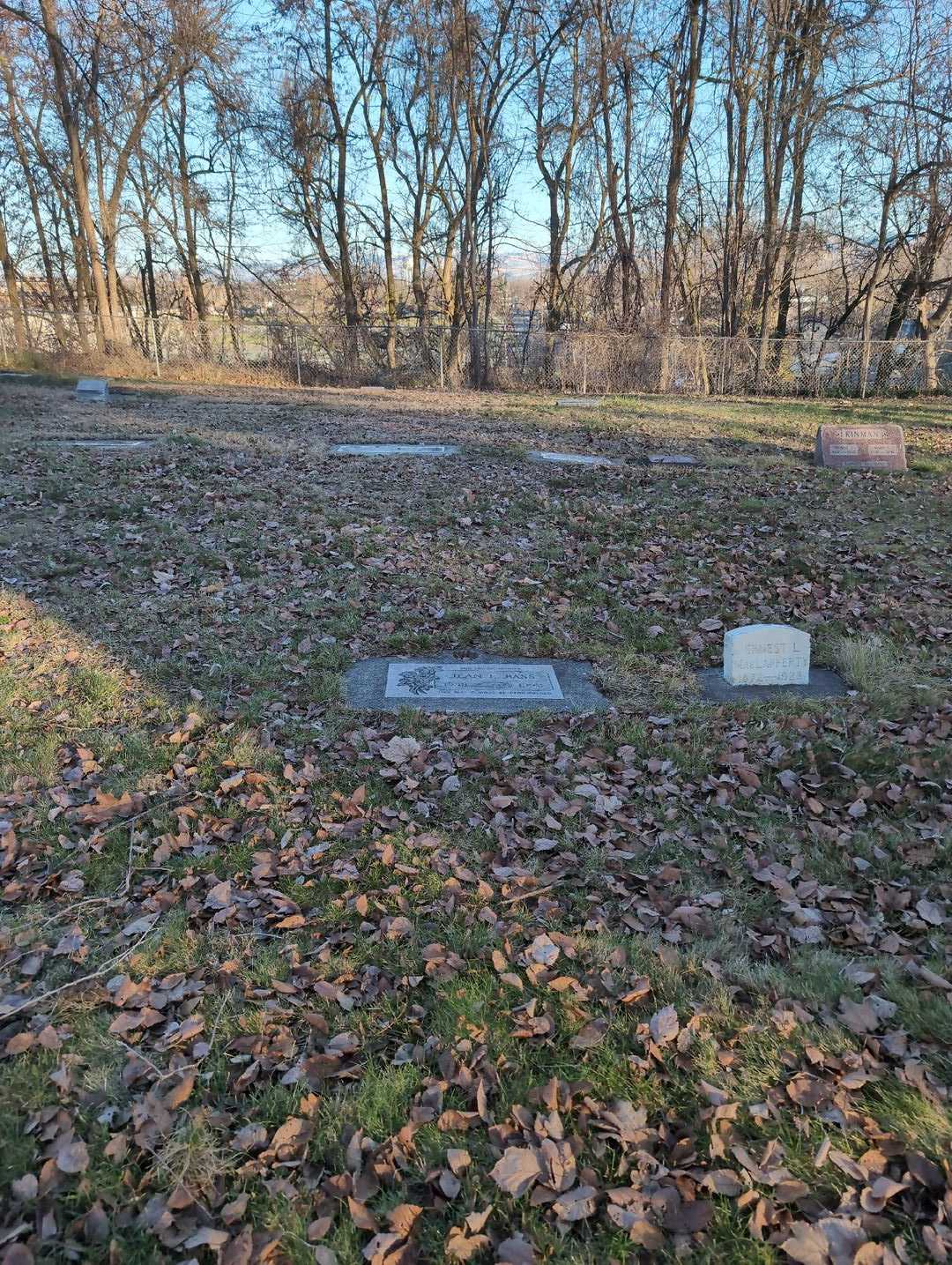 Gary Bass's grave. Photo 2