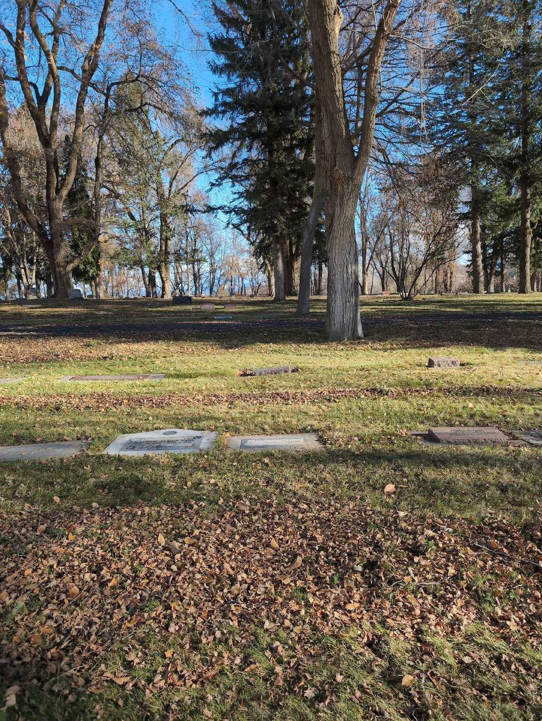Barbara Sayler's grave. Photo 2