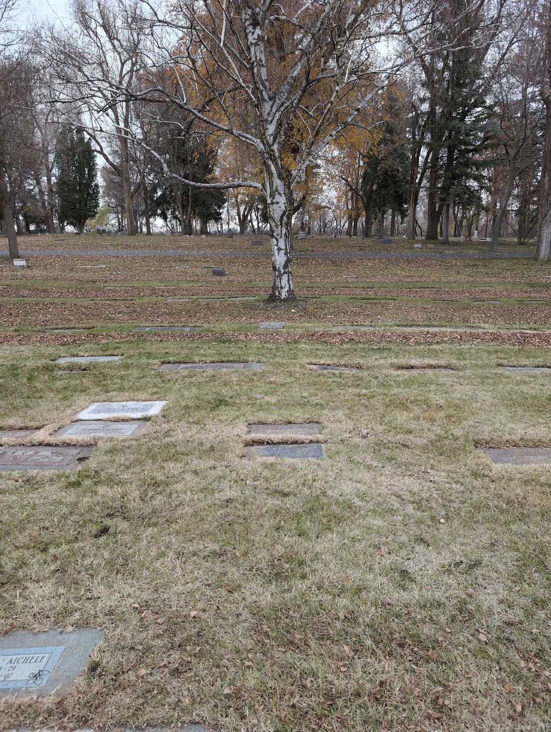 Douglas E. York's grave. Photo 2