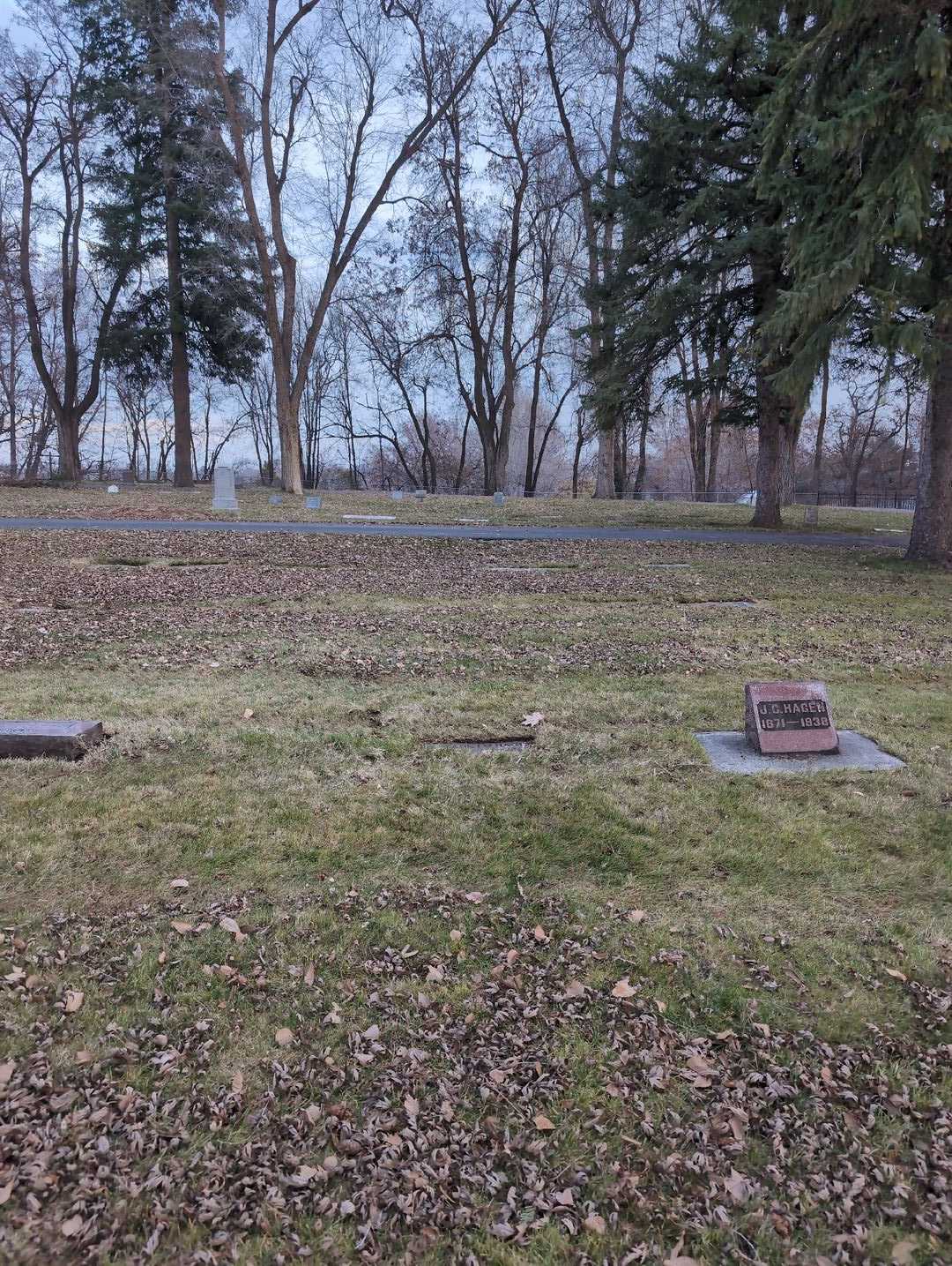 Elizabeth Hagen's grave. Photo 2