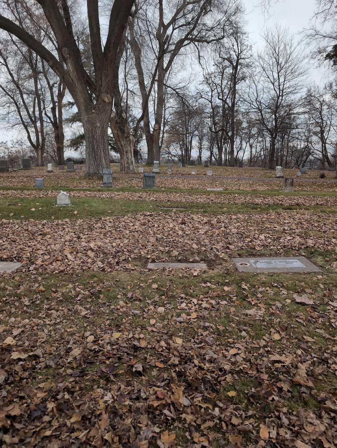 Jacob Schiffner's grave. Photo 2