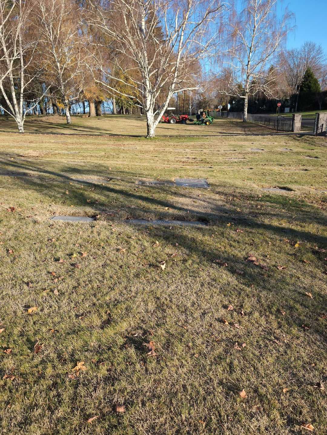 Ellen Mae Downs's grave. Photo 2