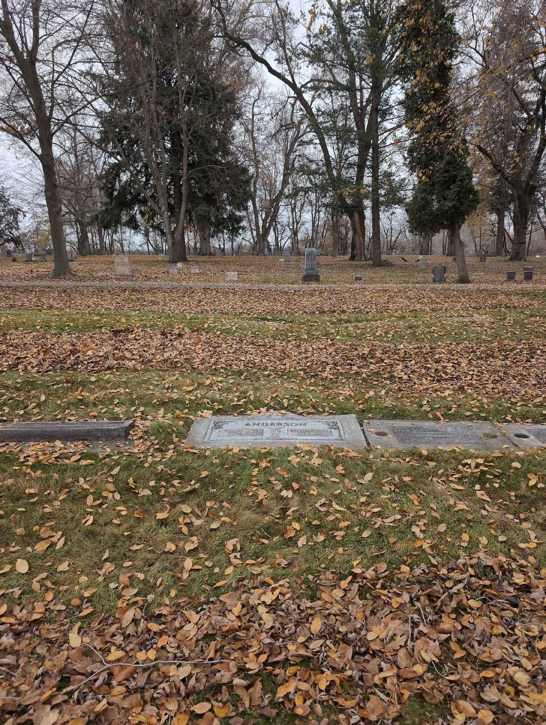 Walter Morell Anderson's grave. Photo 4
