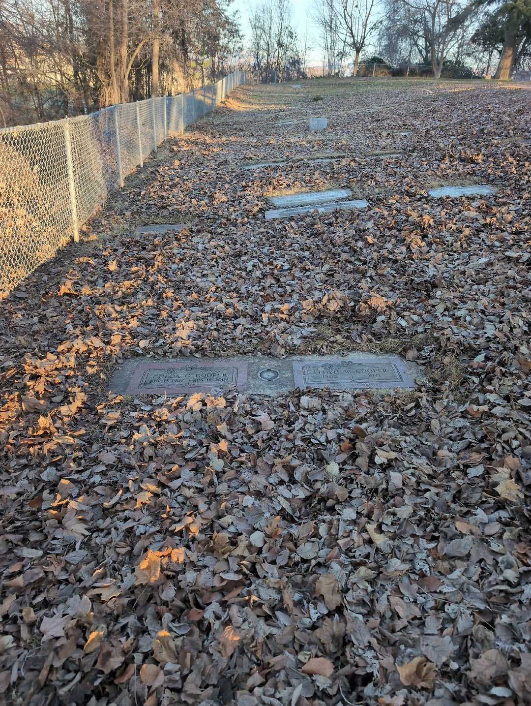 Golda G. Cooper's grave. Photo 2