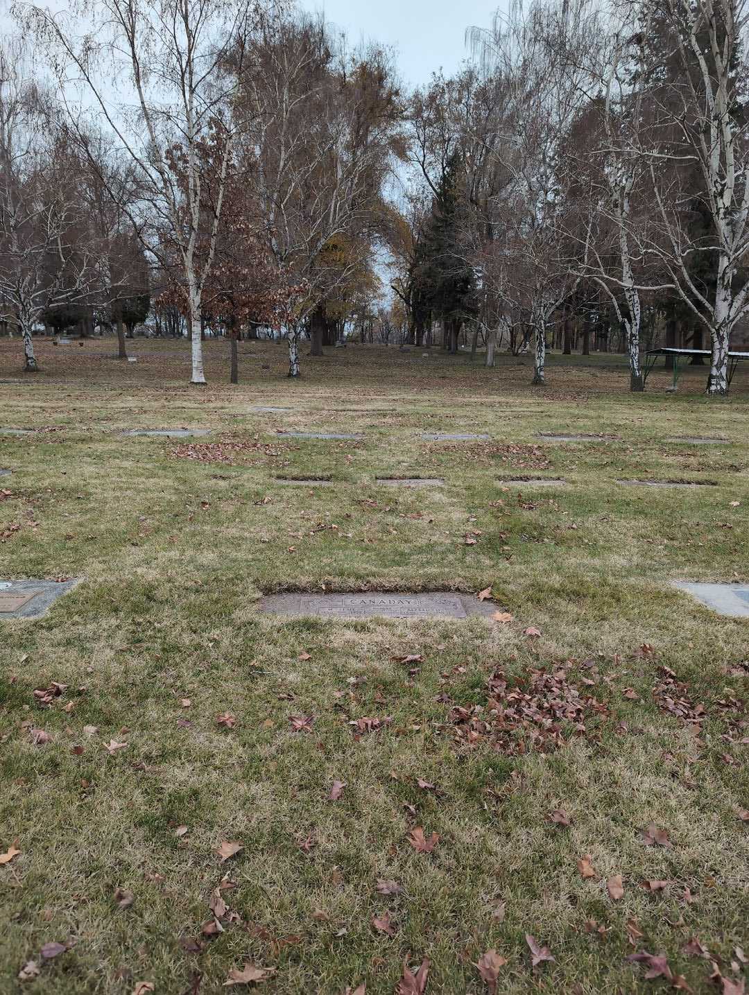 Alfred D. Canaday's grave. Photo 2