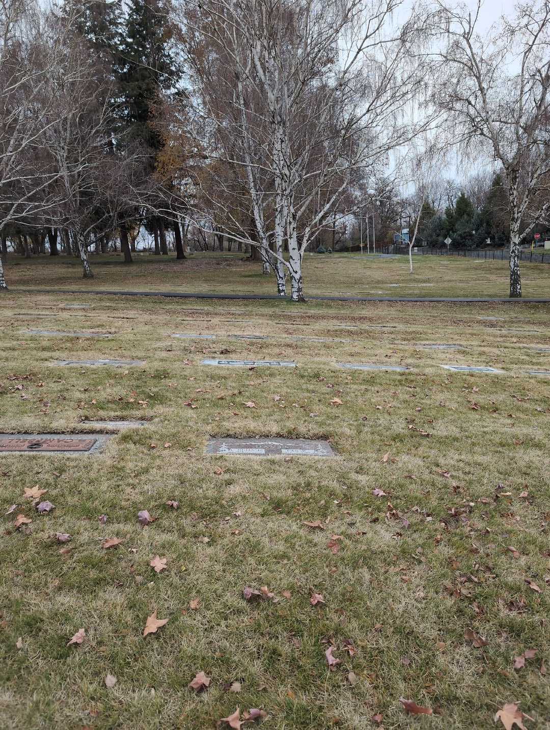 Dan W. Davis's grave. Photo 2