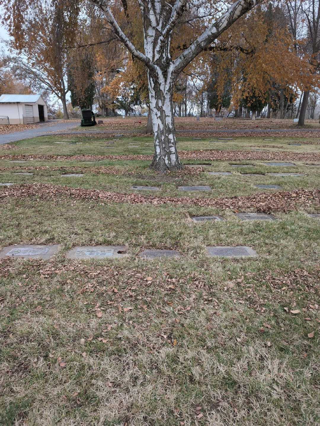 Seara Rose Delfino's grave. Photo 2