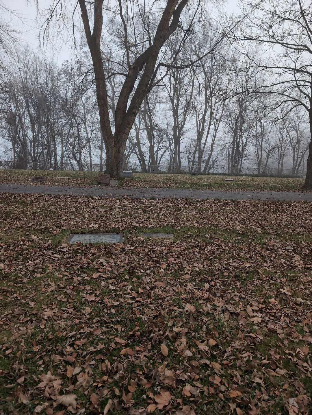 Henry Barmore Senior's grave. Photo 2