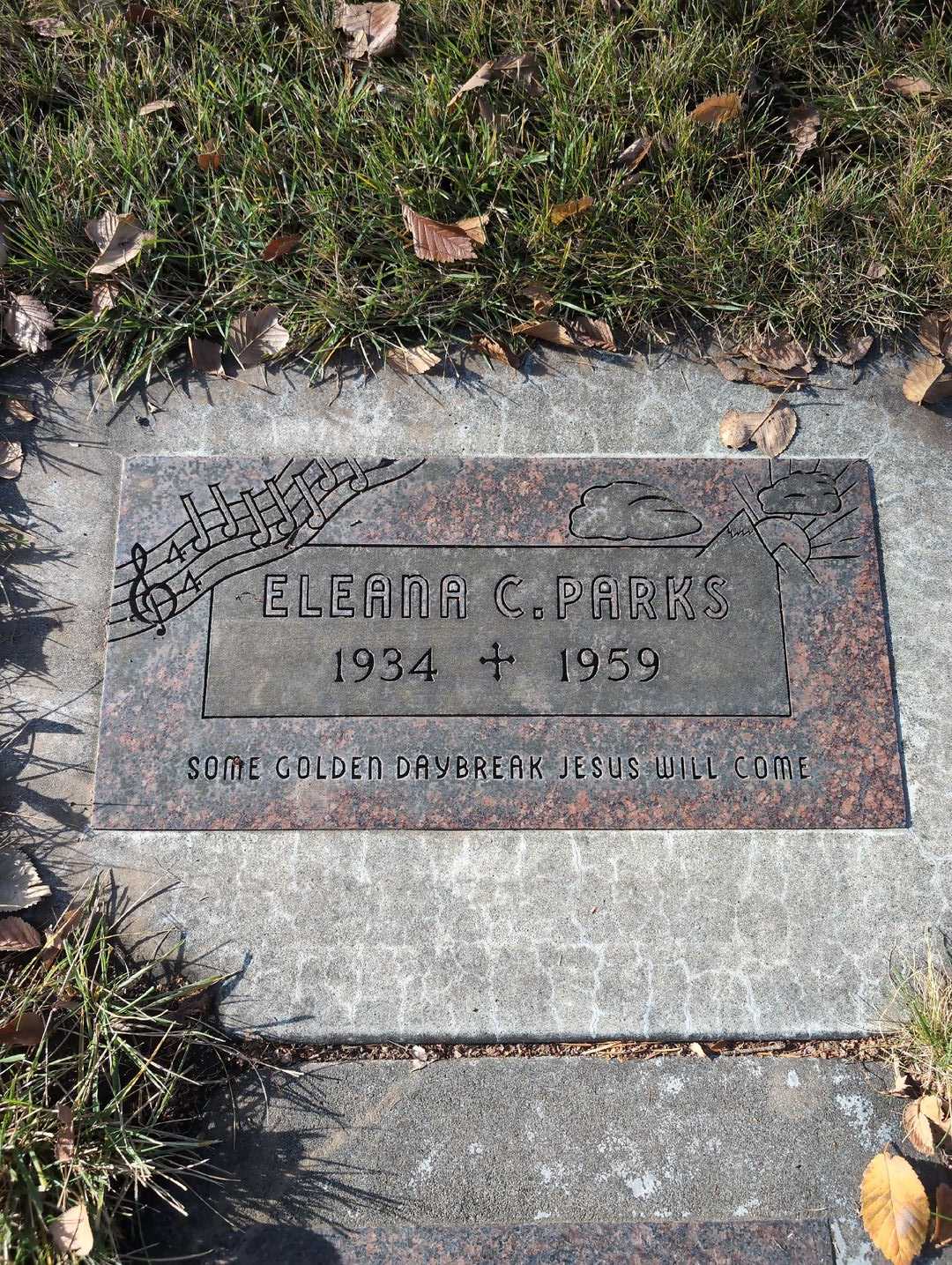 Fred Brand's grave. Photo 4
