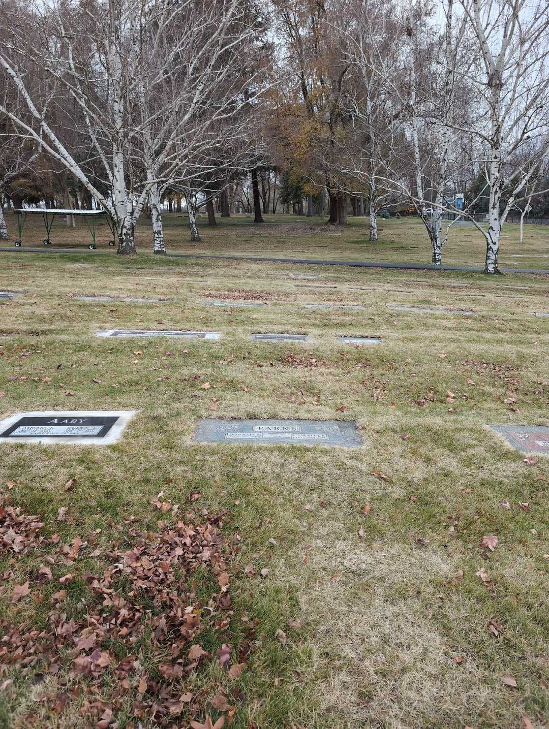 C. Matlee Parks's grave. Photo 2
