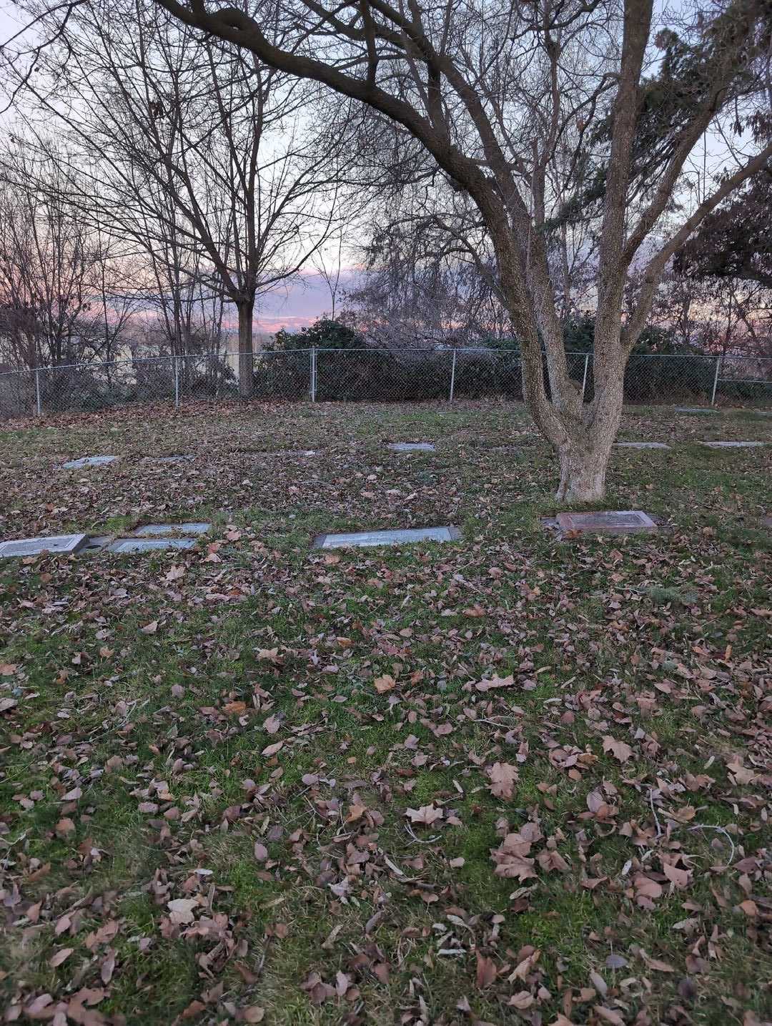 Buford Ward's grave. Photo 2