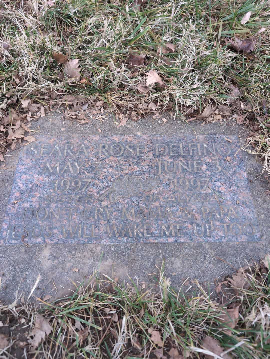 Seara Rose Delfino's grave. Photo 3
