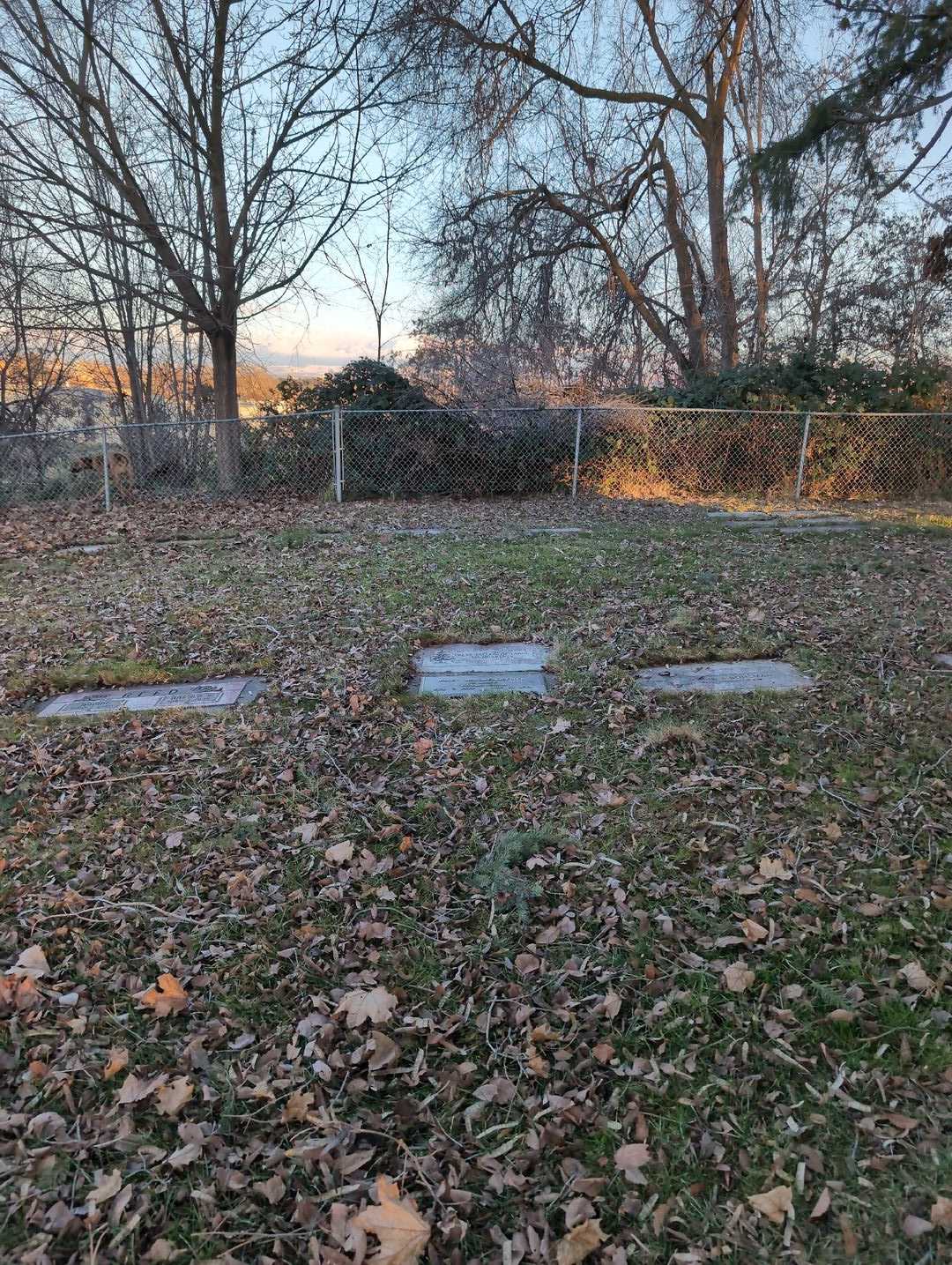 Irene Elizabeth Eadus Baumgartner's grave. Photo 2