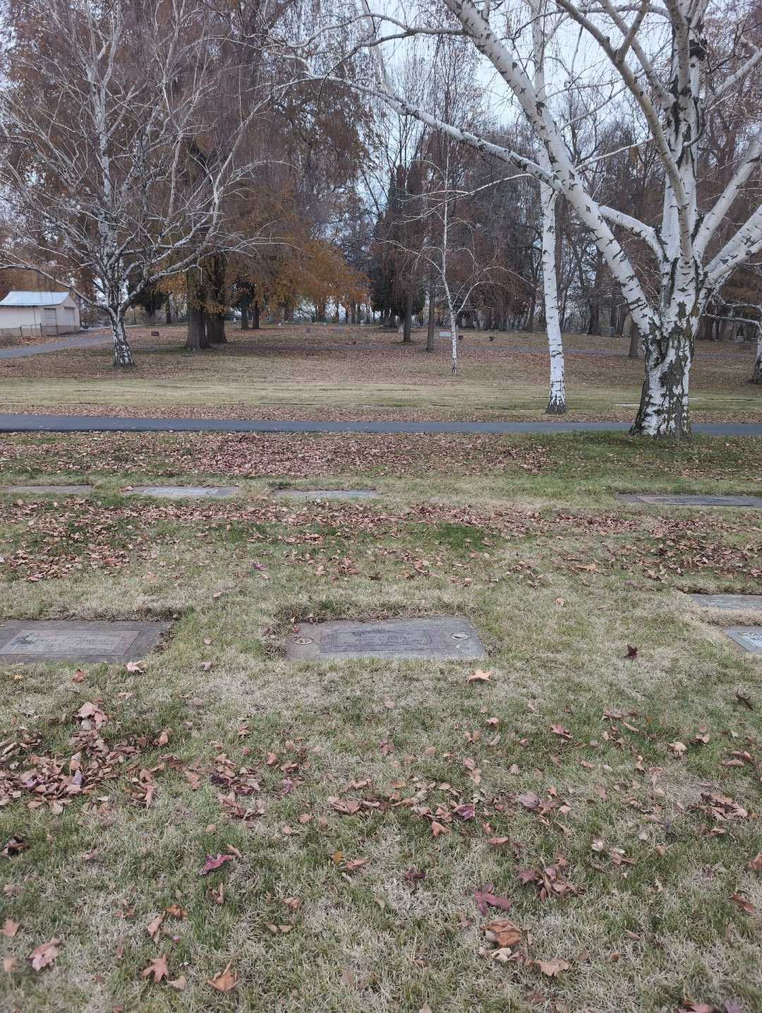 Alvin E. Zuver's grave. Photo 2