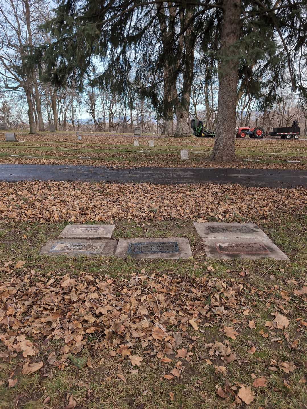 Dallas Thorington's grave. Photo 2