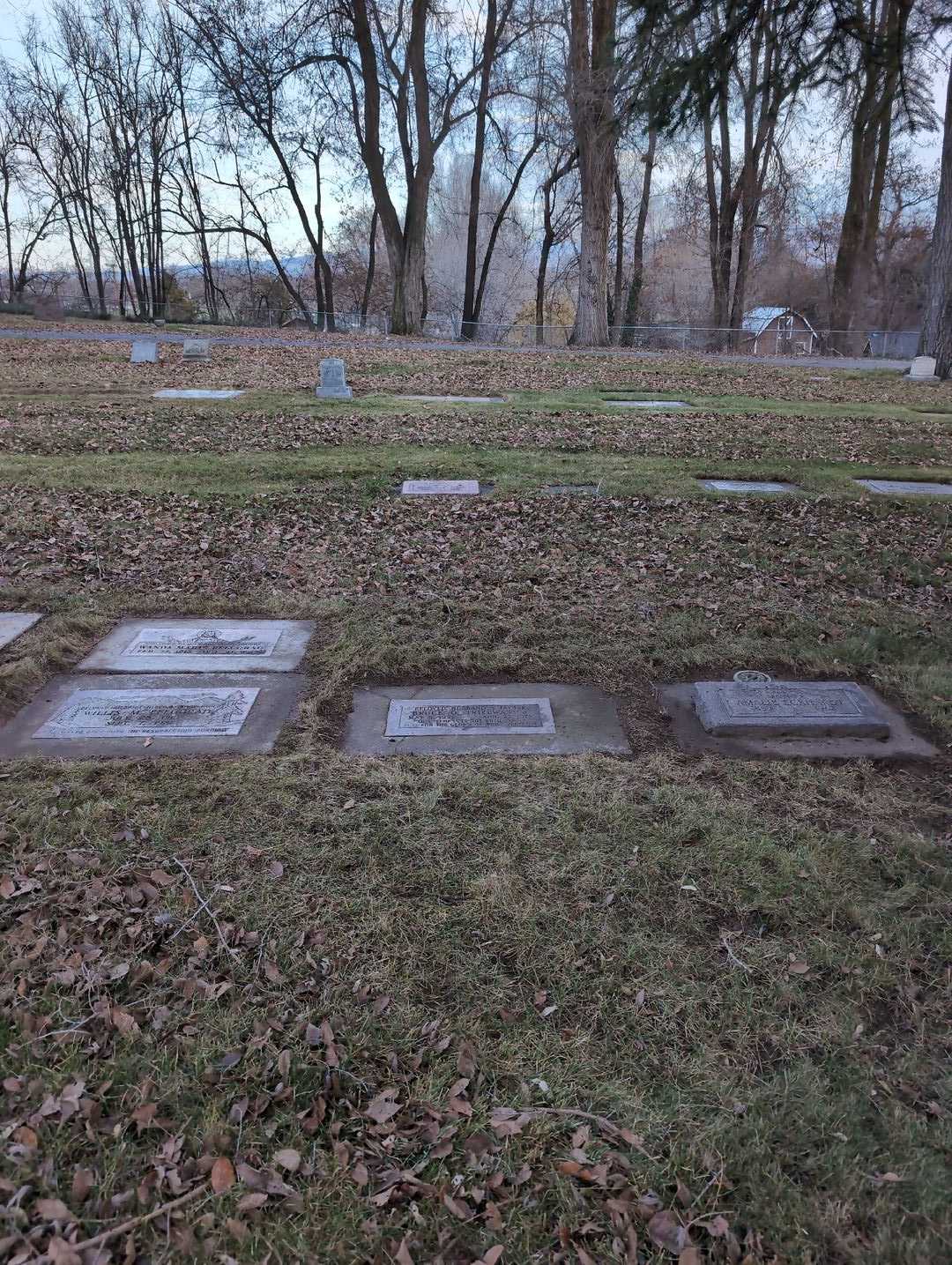 Amalie Eckhardt's grave. Photo 4