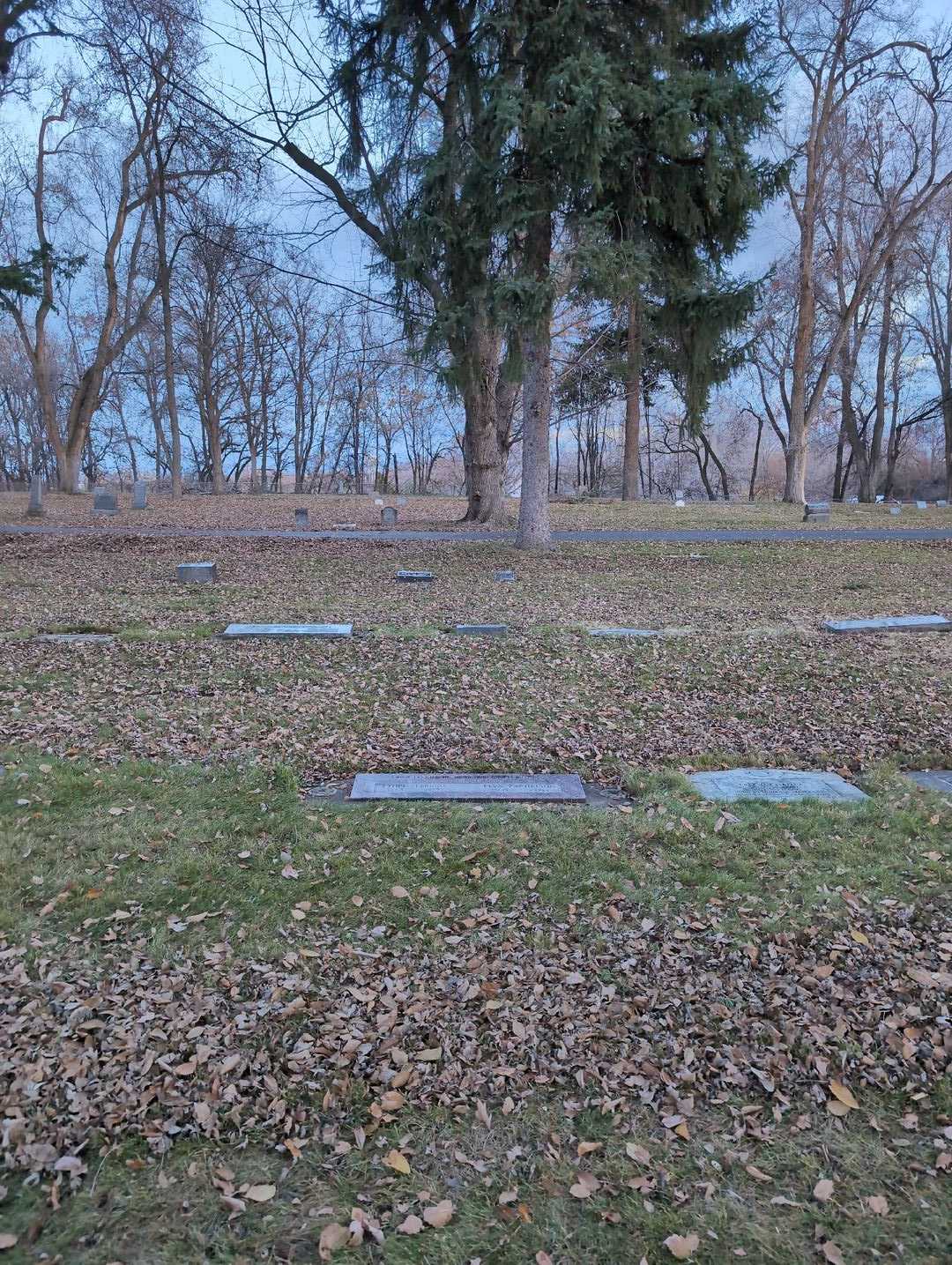 Elva Zachrison's grave. Photo 2