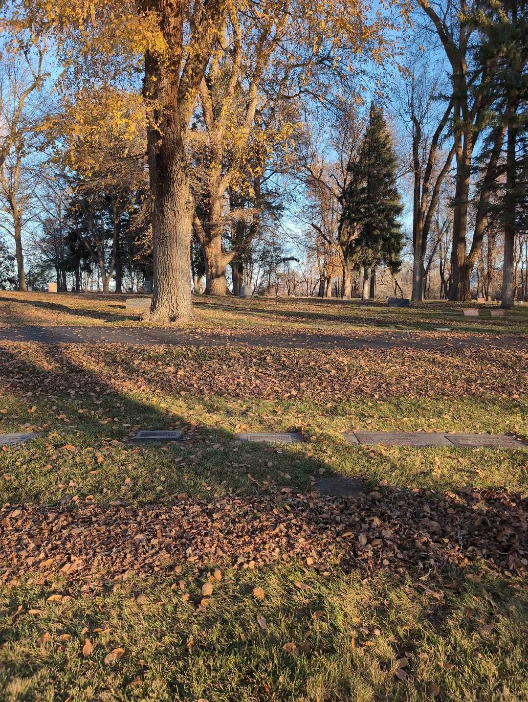 Perry W. Macklin's grave. Photo 2