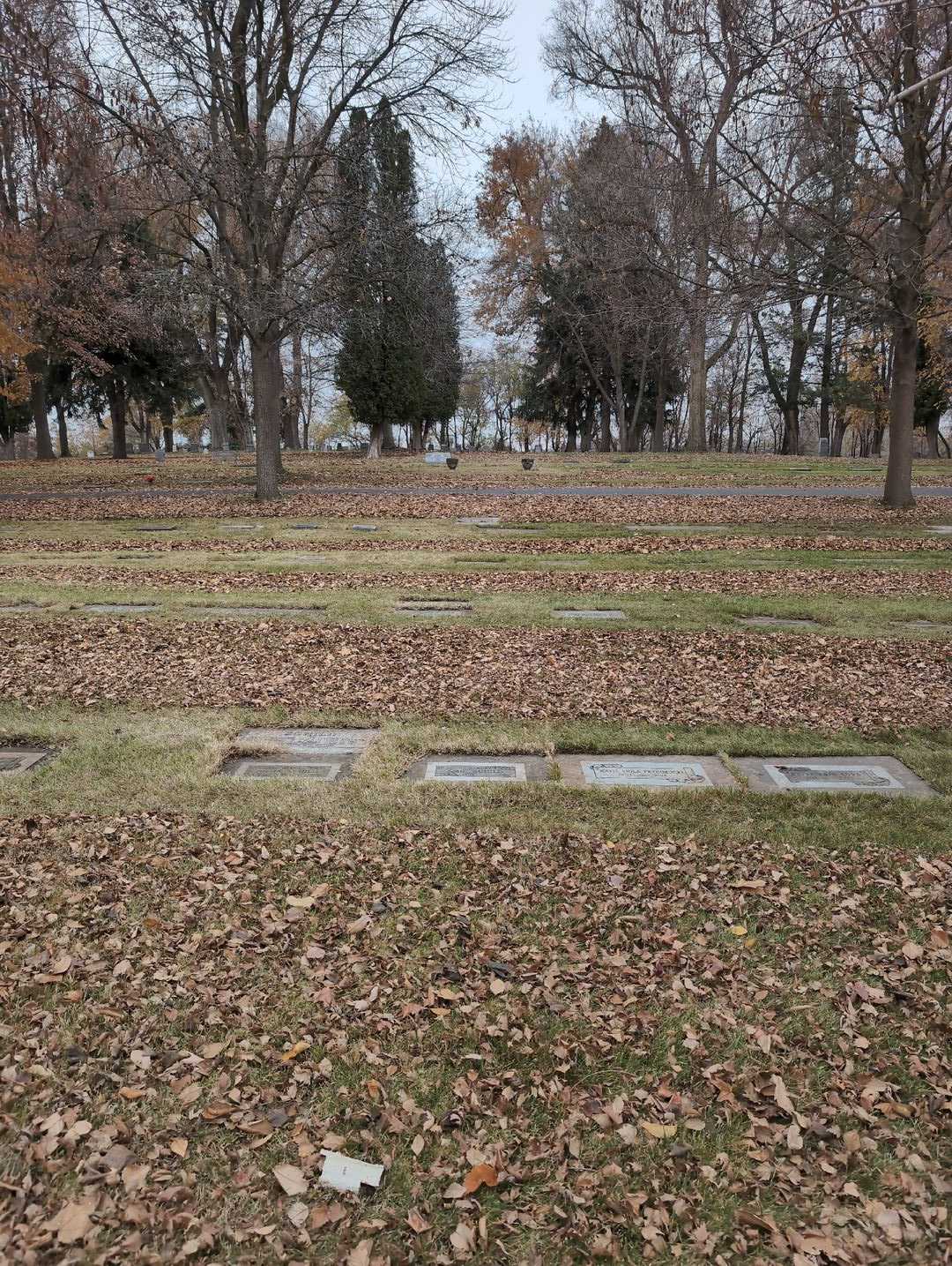 Emil Schild's grave. Photo 2