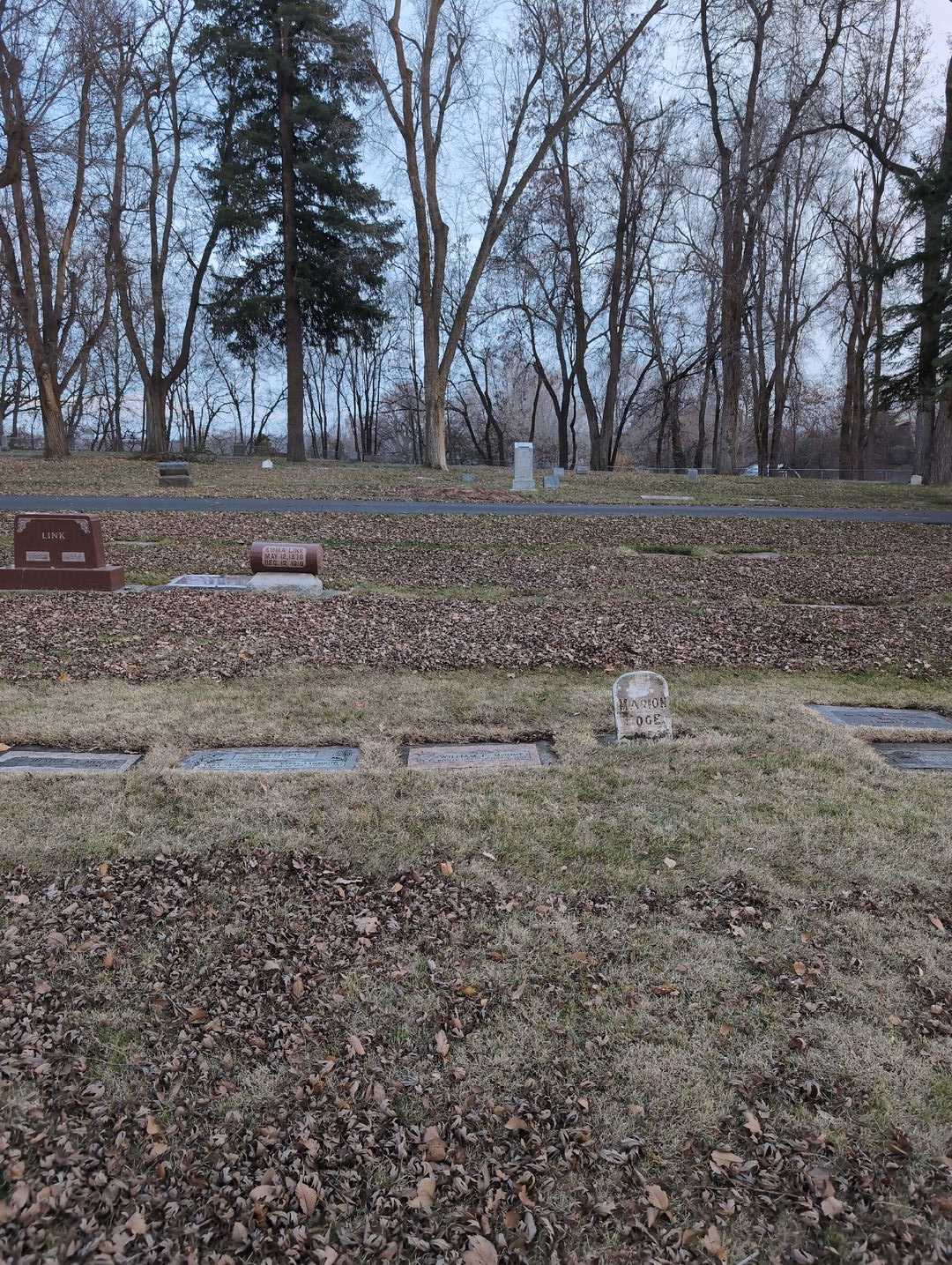 Vera Gallentine's grave. Photo 2