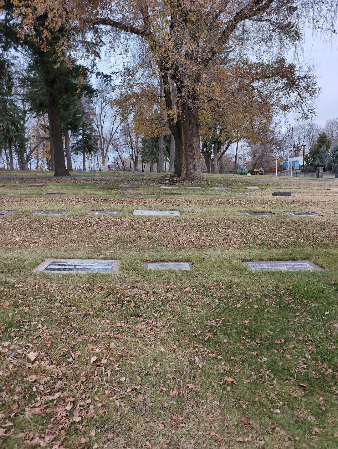 Glenn William Larson's grave. Photo 2
