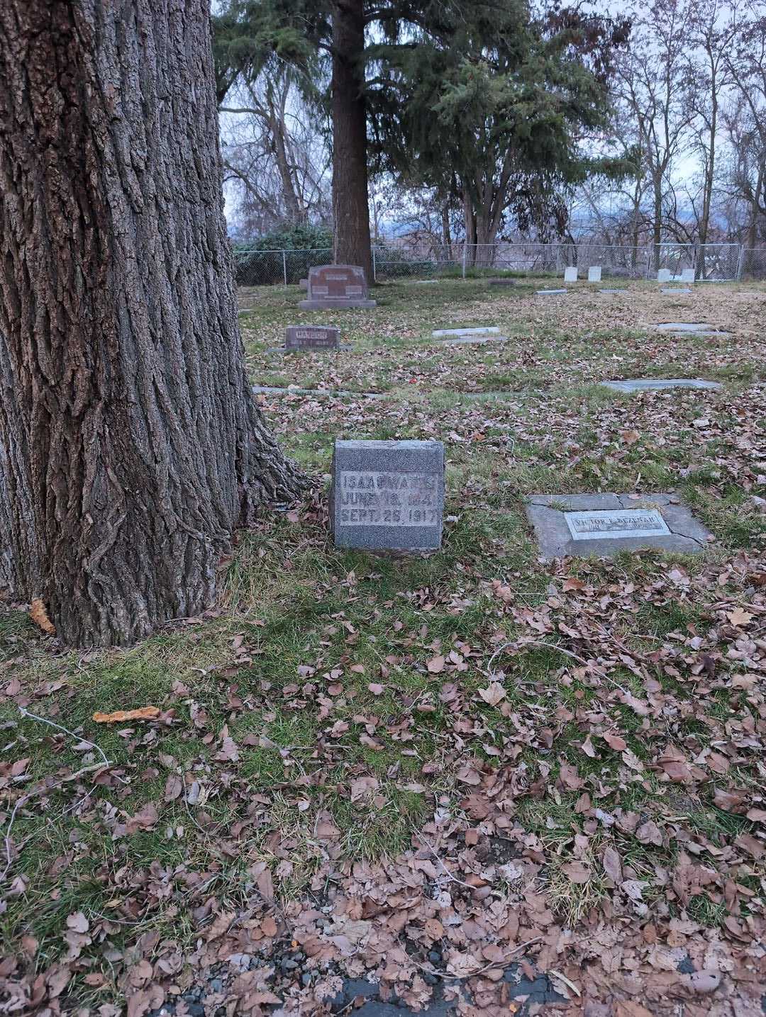 Isaac Watts's grave. Photo 2