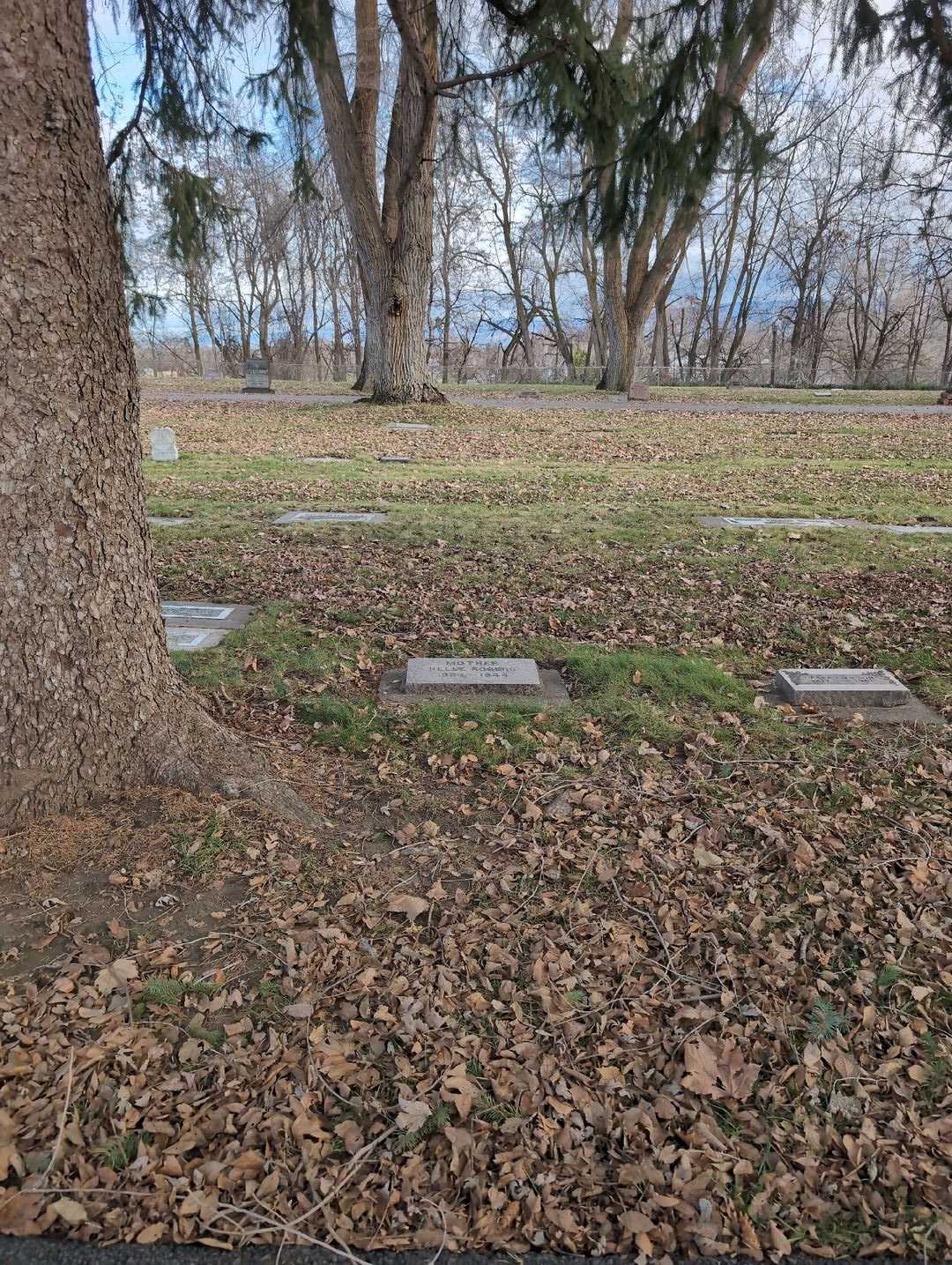 Madora Arebelle "Belle" Rogers's grave. Photo 2