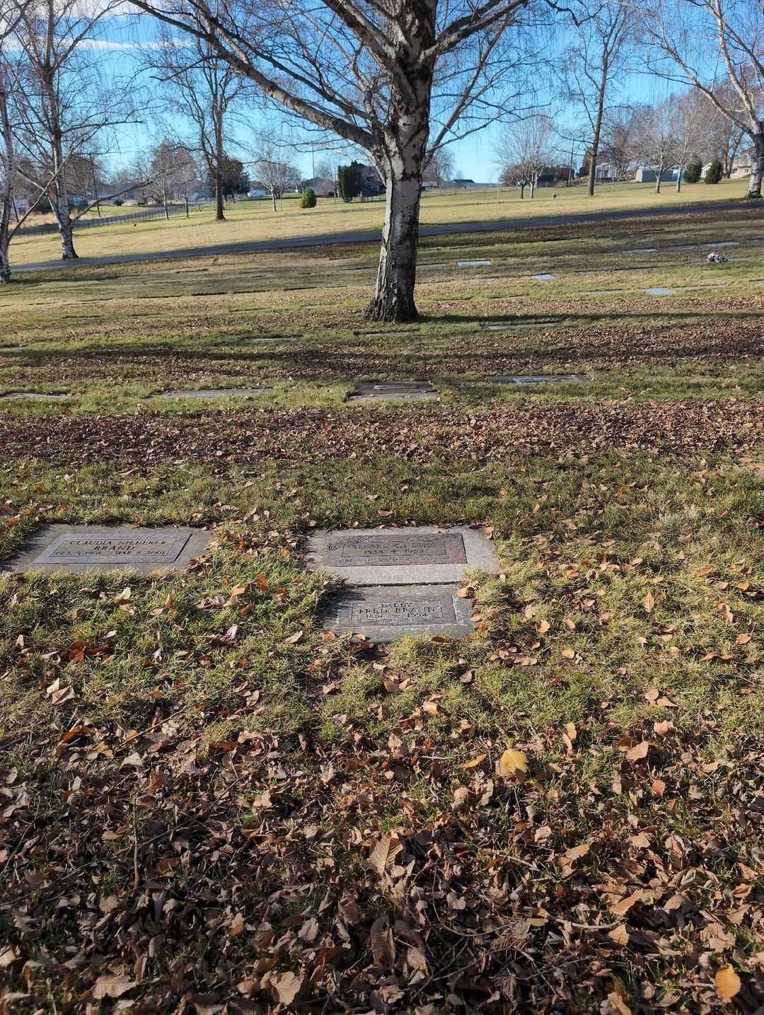Fred Brand's grave. Photo 2