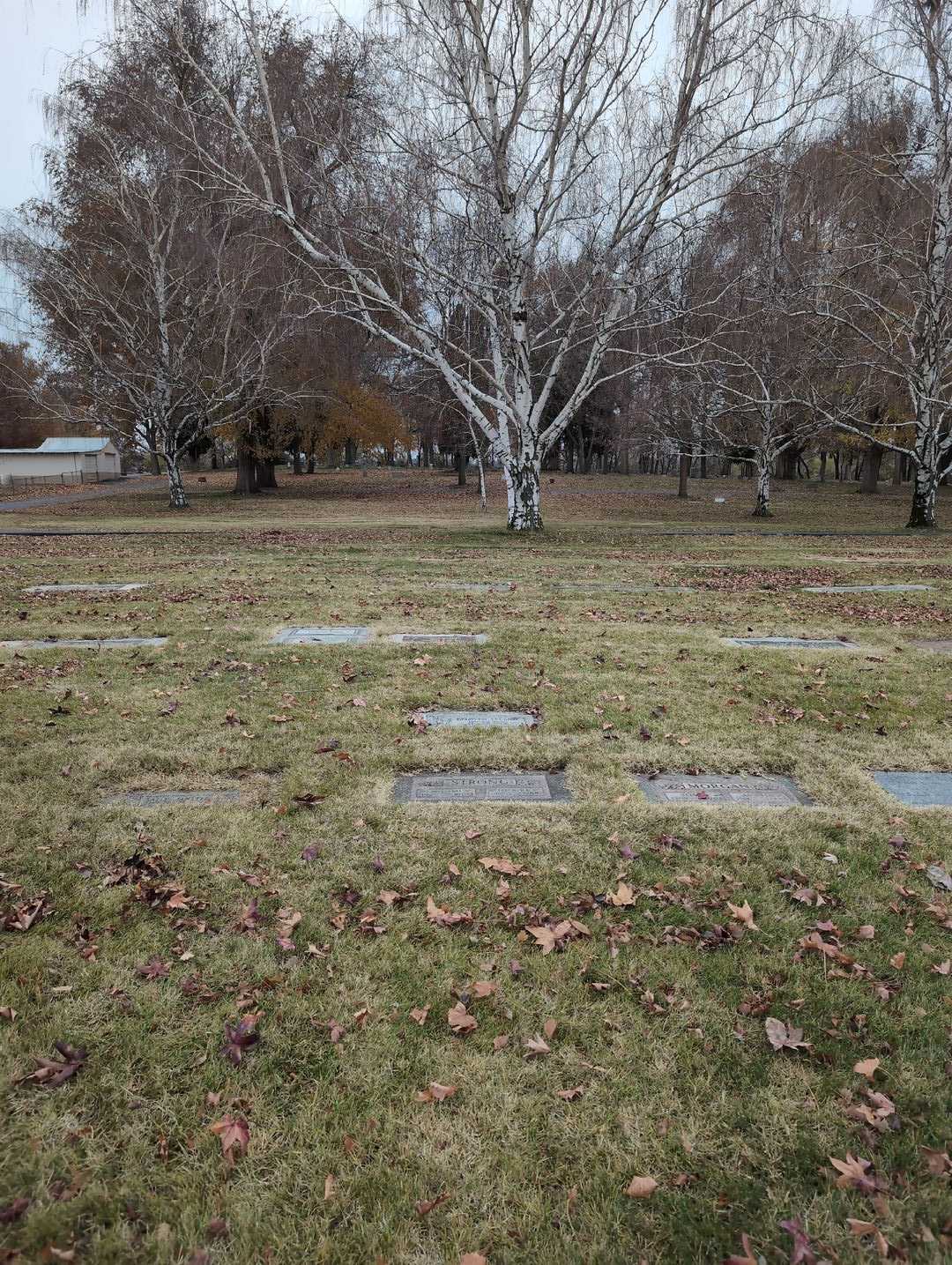 Leland Wade's grave. Photo 4
