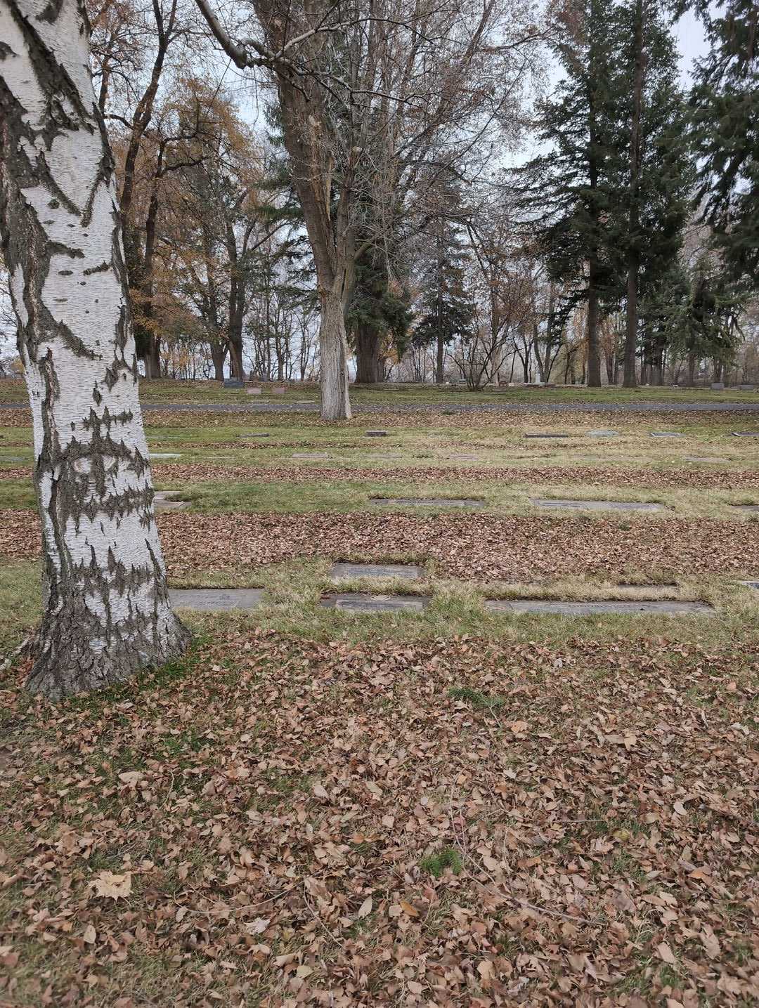 C. Don Howell's grave. Photo 3