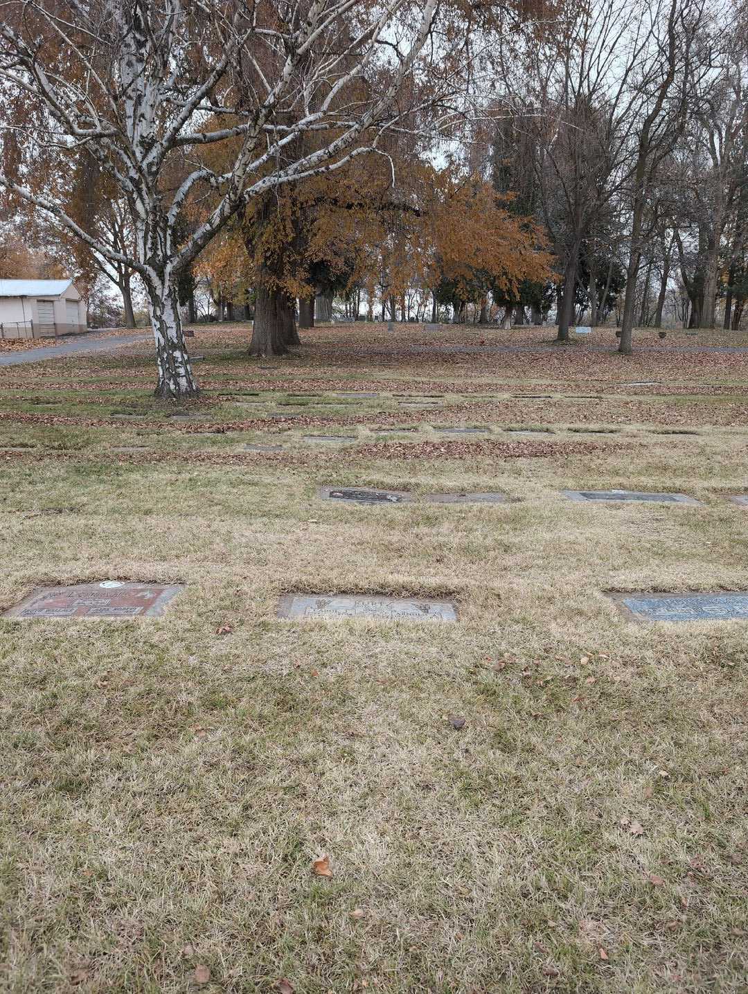 Carol J. Kurtz's grave. Photo 2