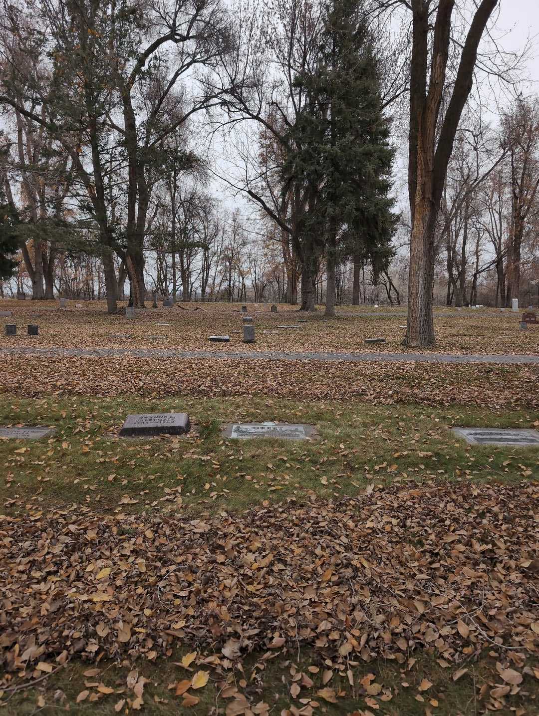 Georgianna Greet's grave. Photo 2