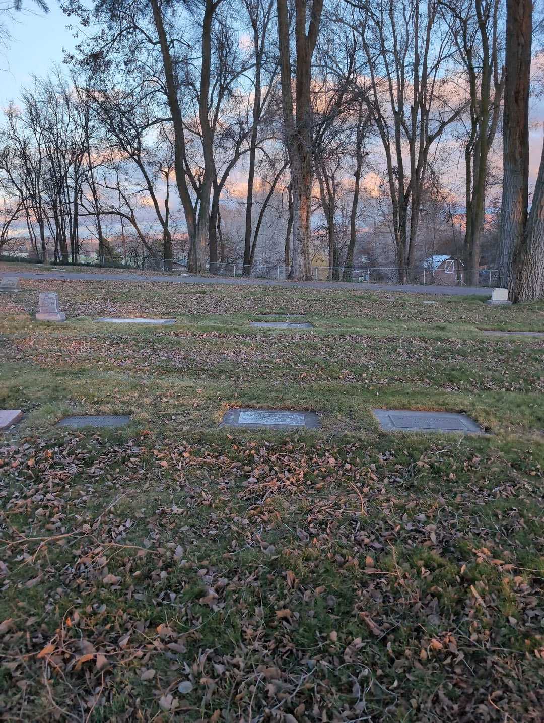 Mary Feigner Smith's grave. Photo 2