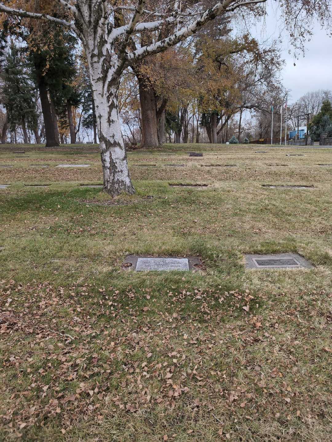 Eldon F. Adamson's grave. Photo 2