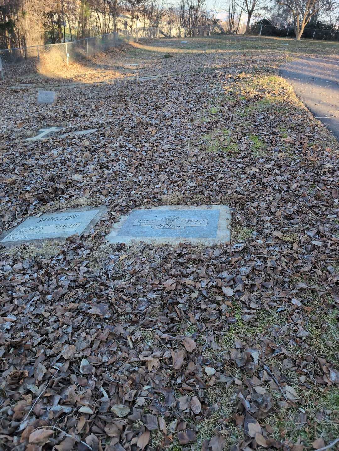 Gloria L. Nelson's grave. Photo 2