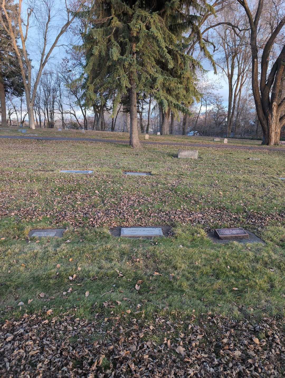 Goldie E. Winter's grave. Photo 2