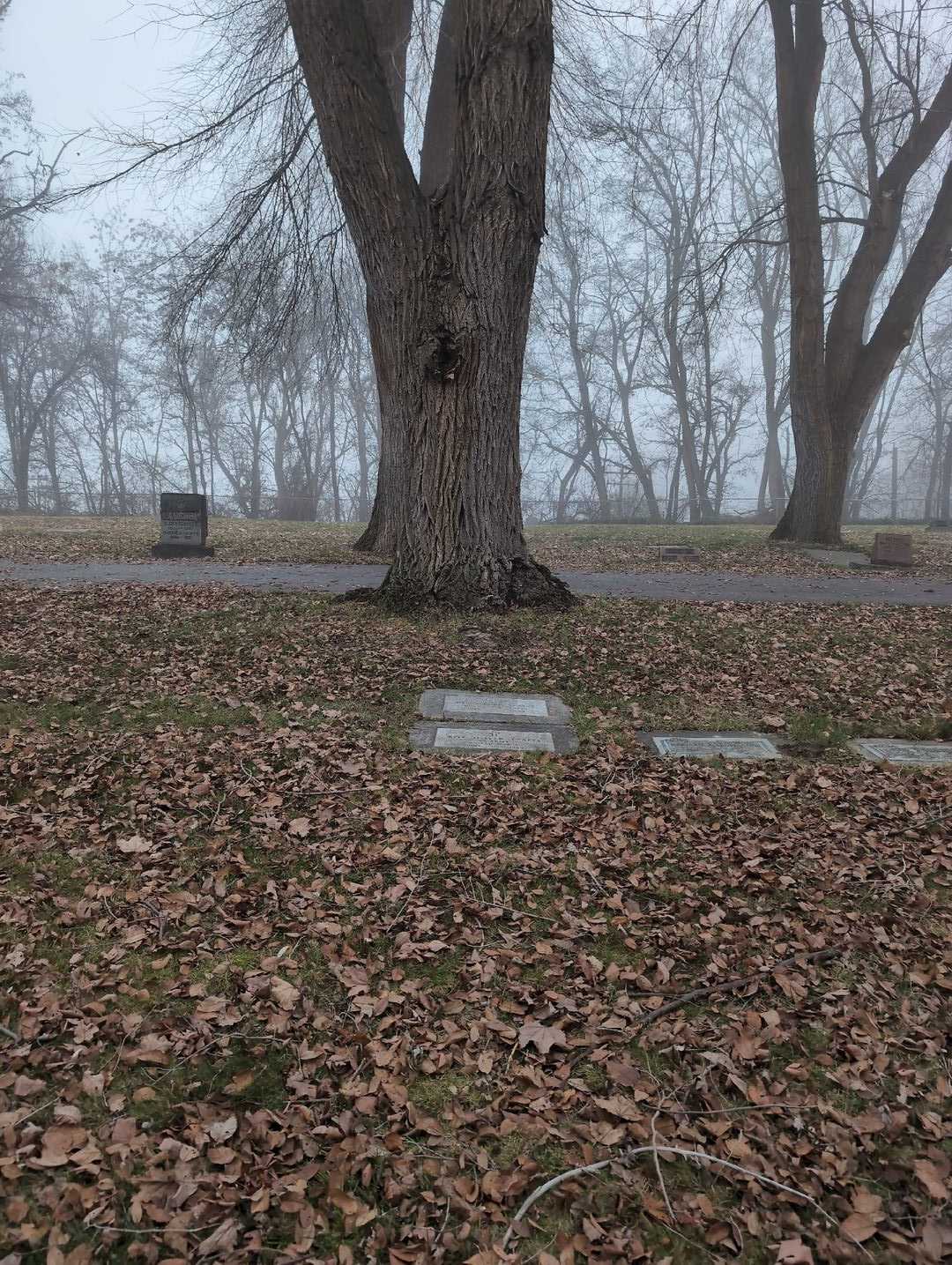 Helen Doris Yeatts's grave. Photo 2