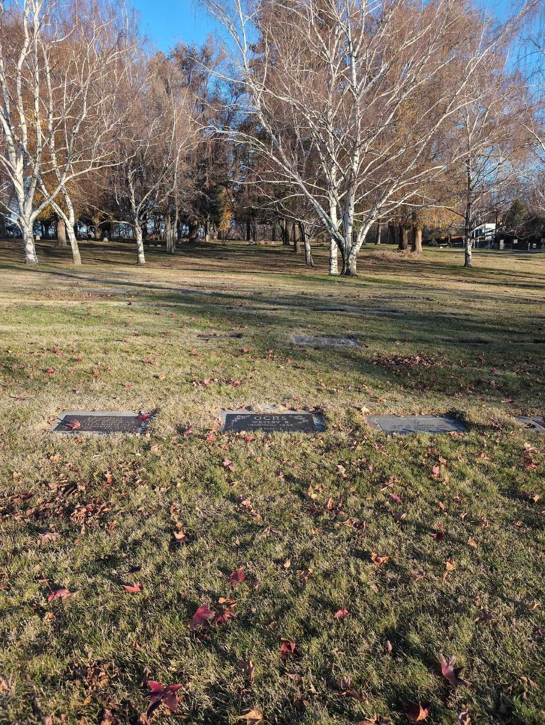 Ann L. Ochs's grave. Photo 2