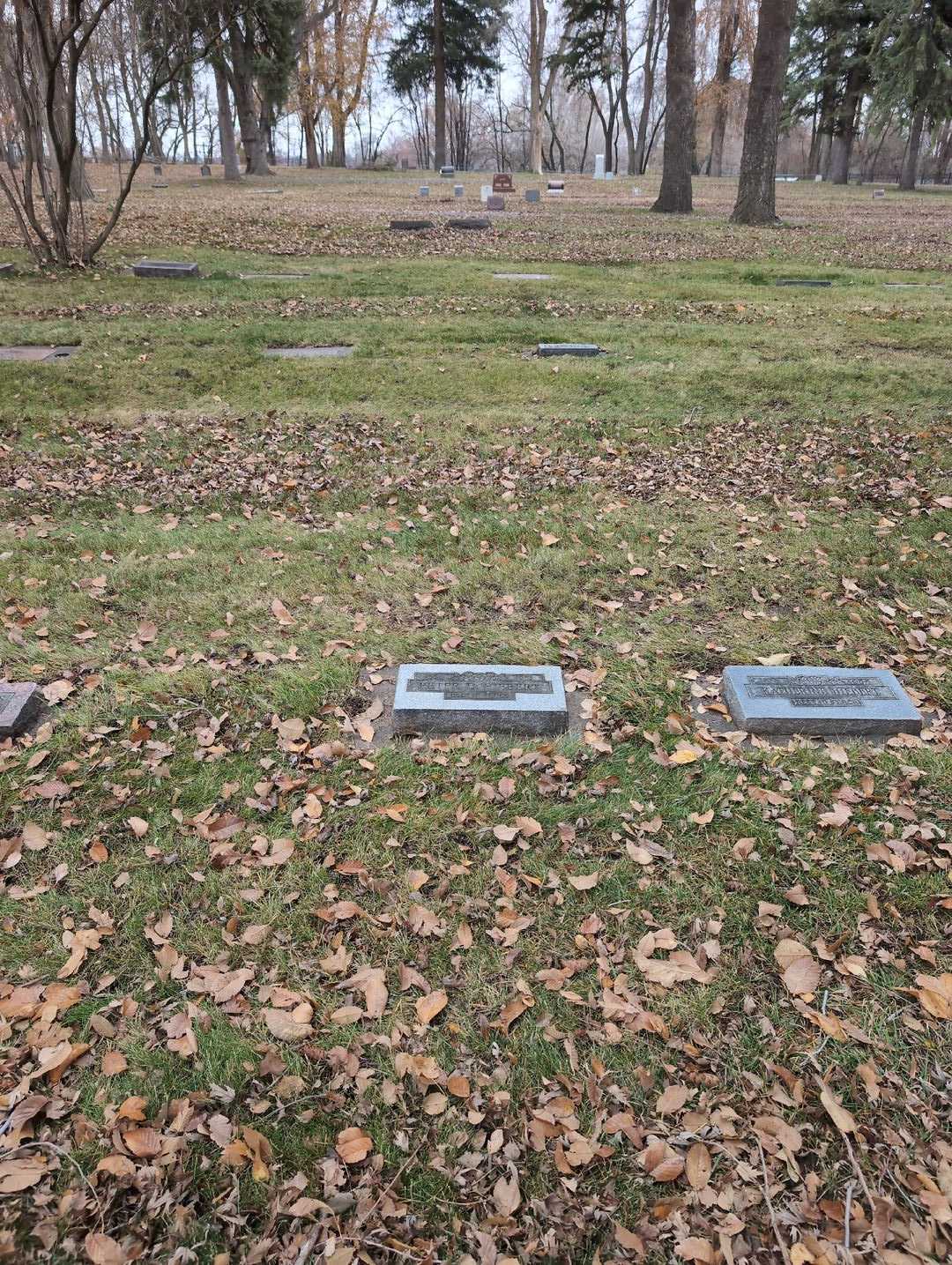 Peter D. Hiebert's grave. Photo 2