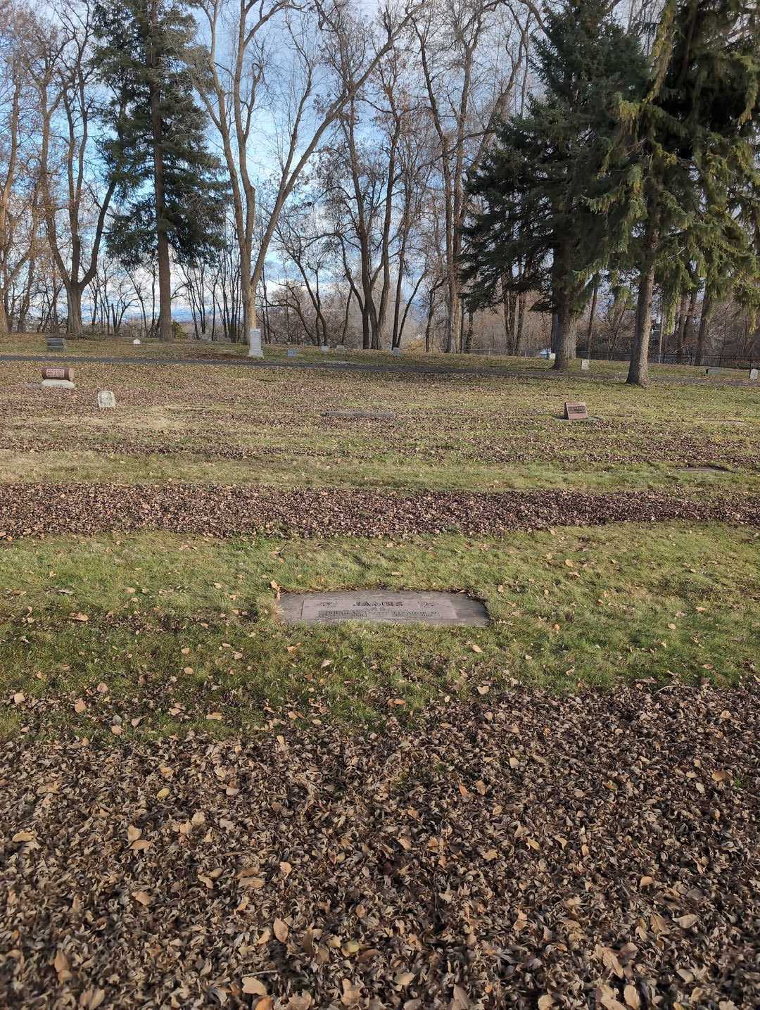 Eleanor M. James's grave. Photo 2