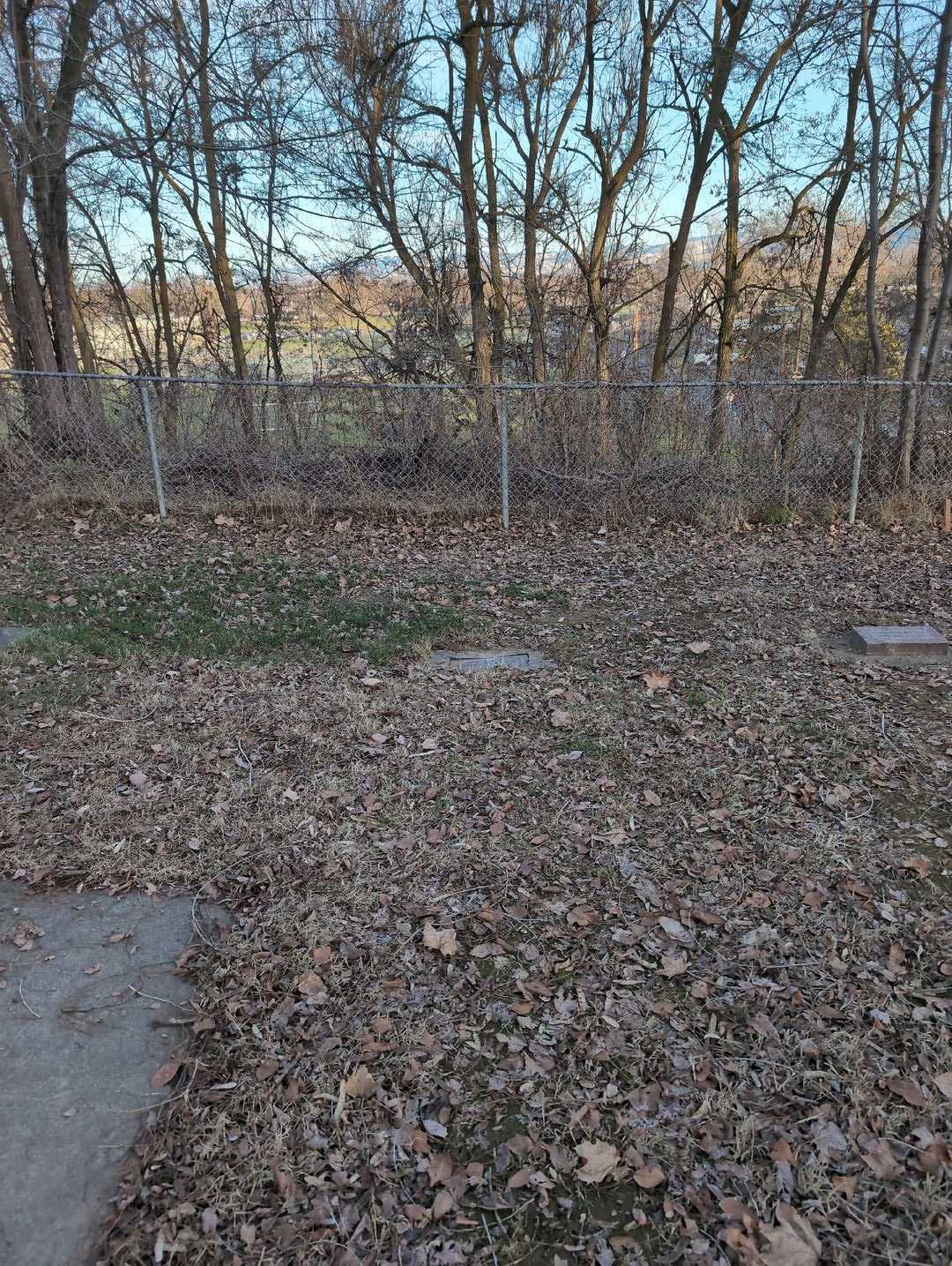 Henrietta Hoover's grave. Photo 2