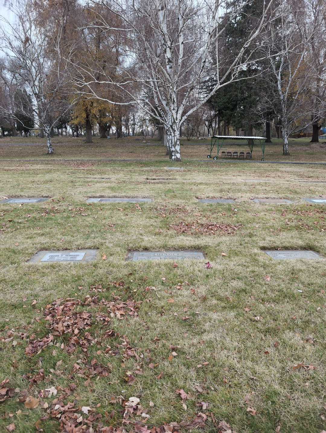 Amanda Hinger's grave. Photo 2