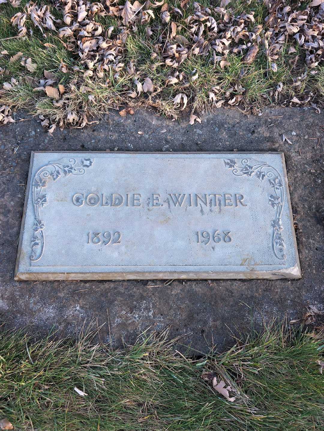 Goldie E. Winter's grave. Photo 3