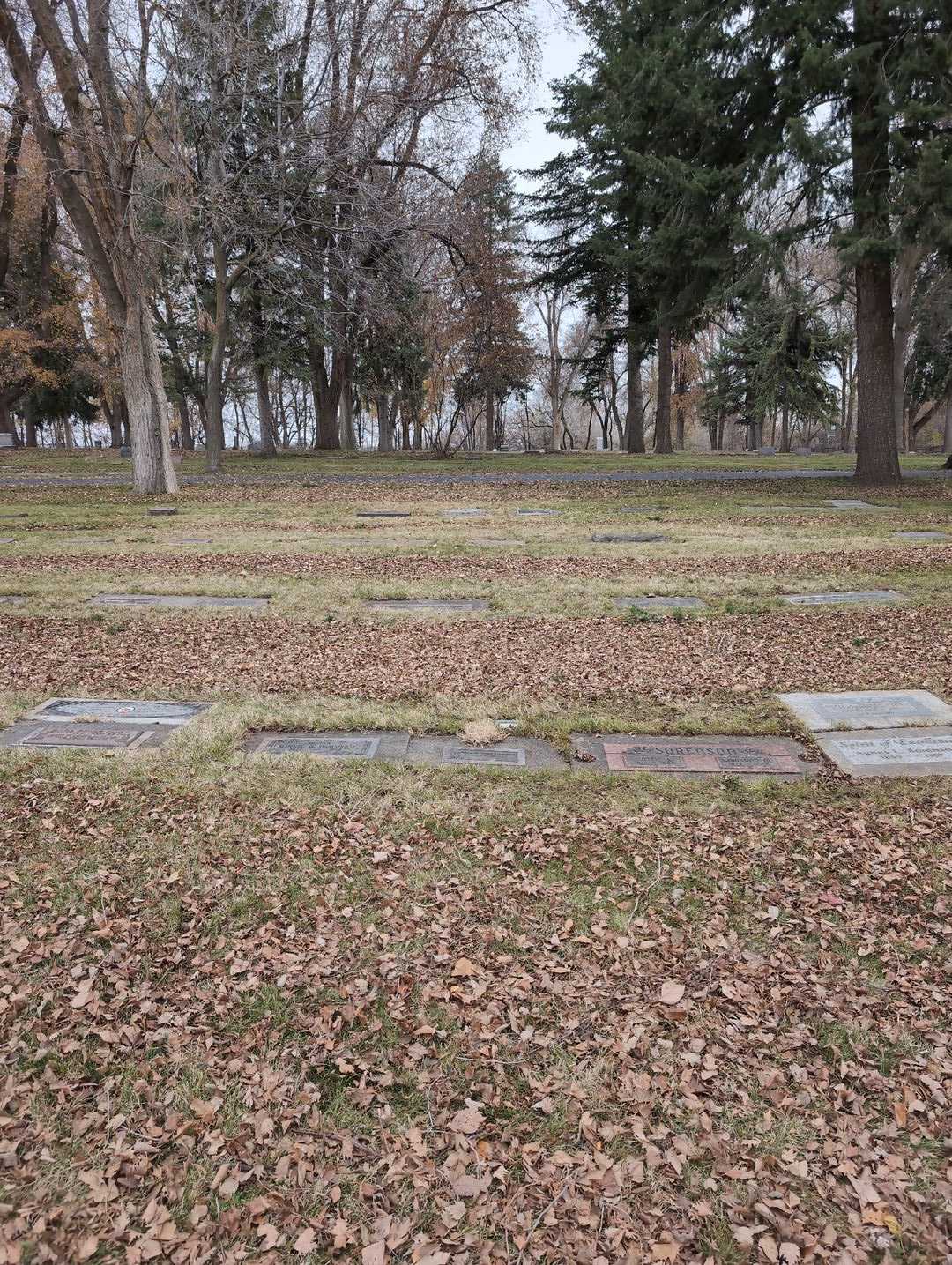 Morgan James Dammrose's grave. Photo 2