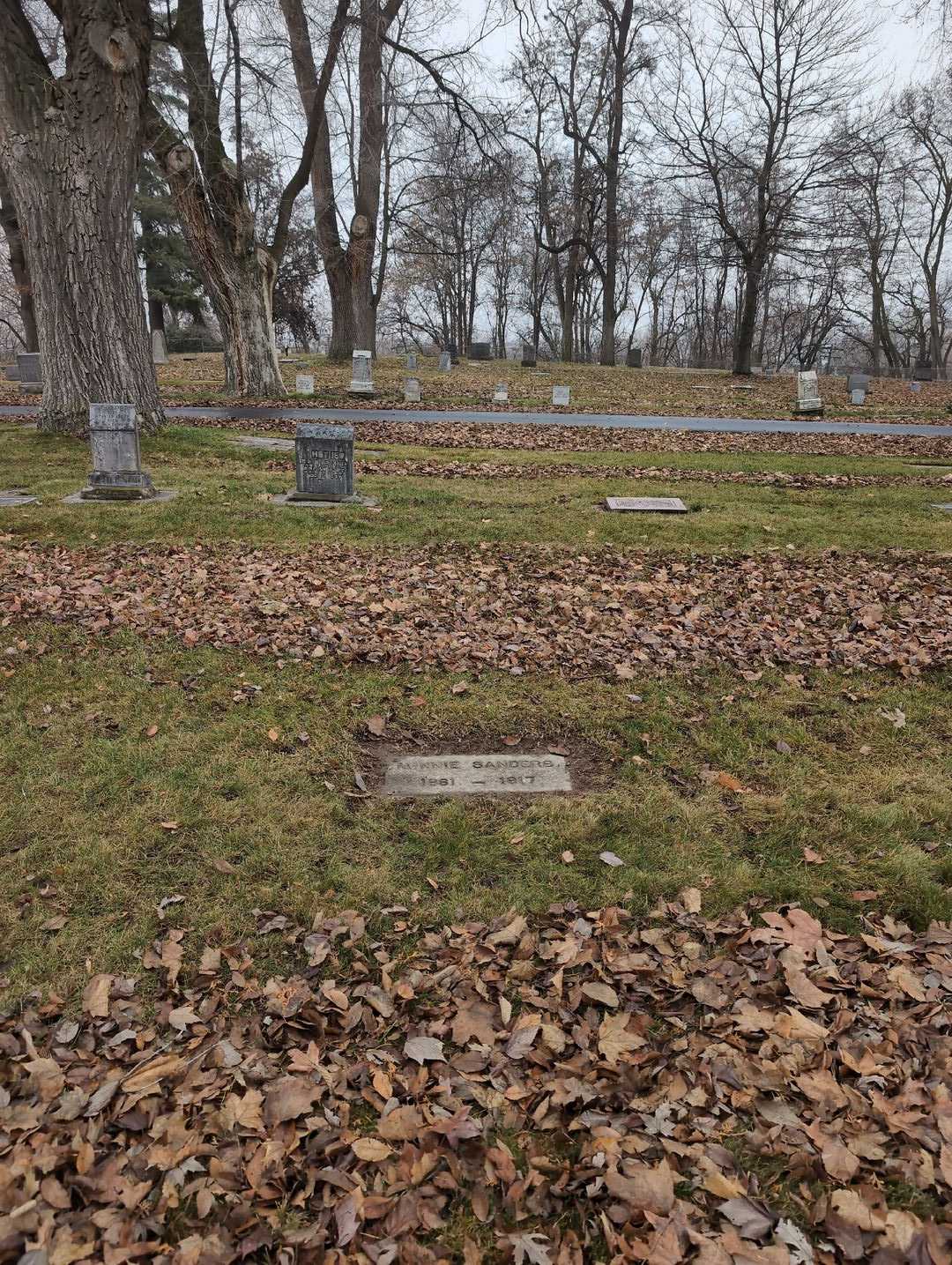 Minnie Sanders's grave. Photo 2