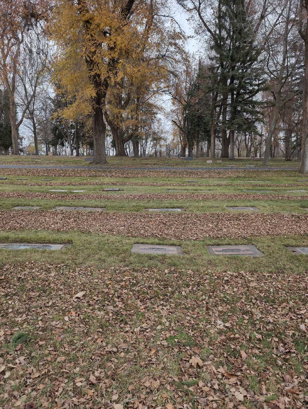 Elsie Gerking's grave. Photo 2