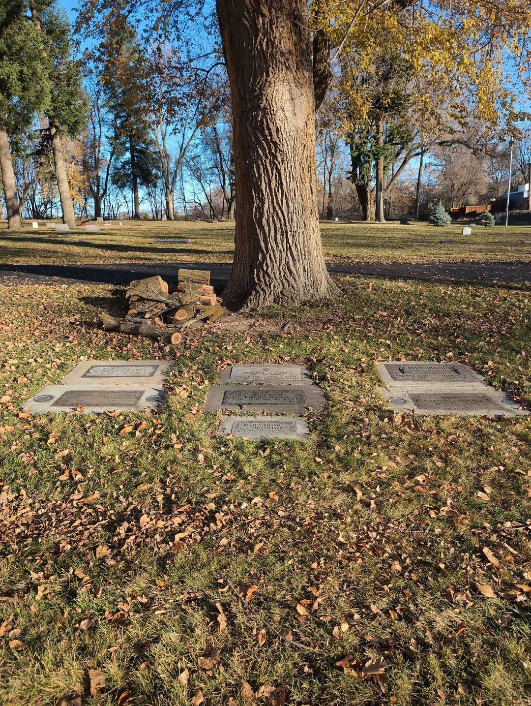 Barbara Qualley's grave. Photo 6